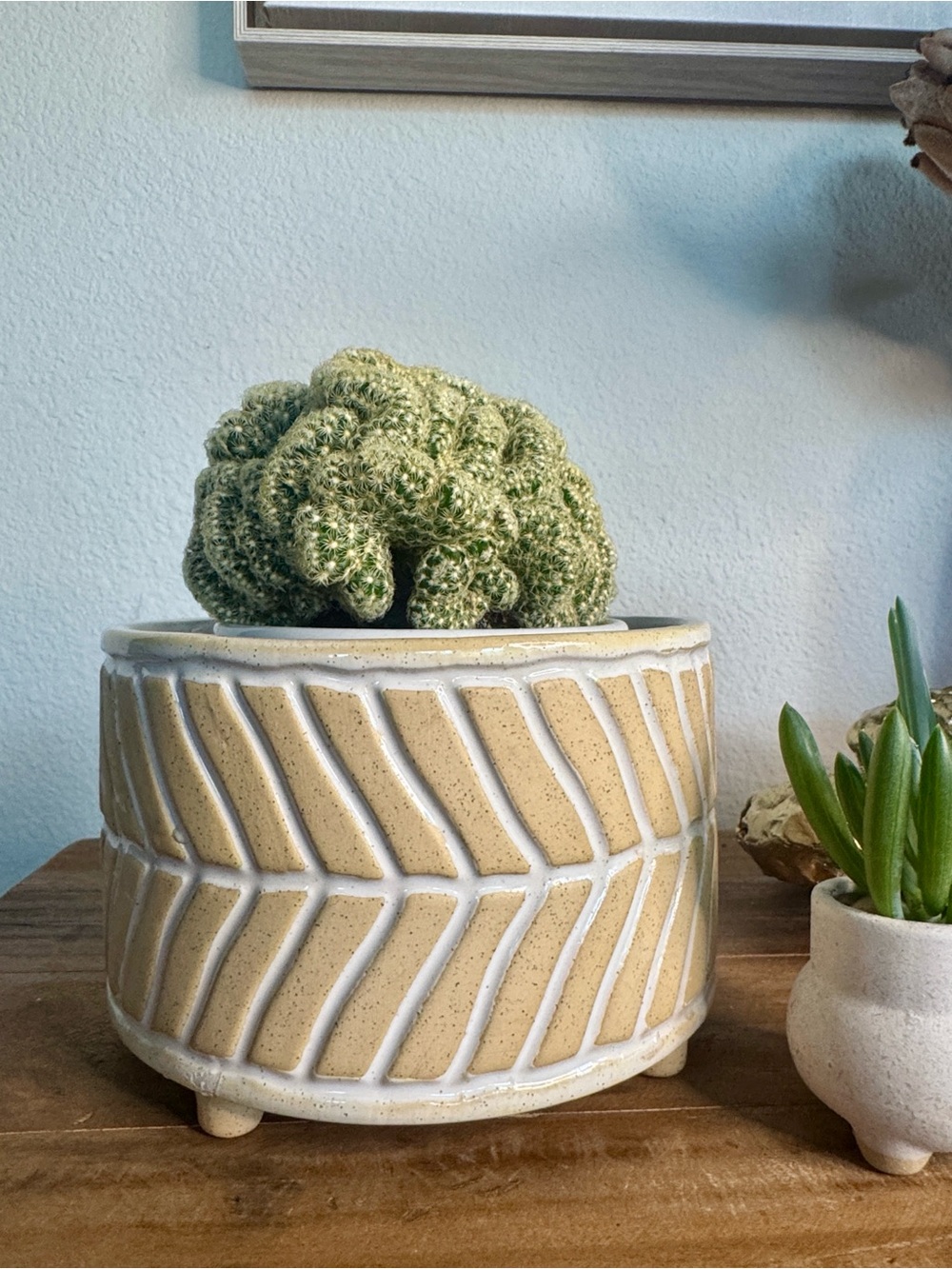 Neutral Chevron Ceramic 6” Plant Pot